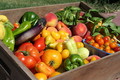 Riverdog Farm