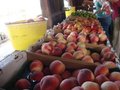 Dwelley Farms