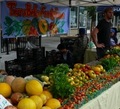 Terra Bella Family Farm of Pleasanton
