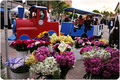Fullerton Thursday Market