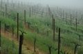 Arbios Cellars