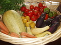 SPI Market Garden