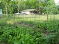 Mason Creek Farm