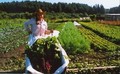 Redwood Roots Farm
