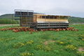 Rockville Market Farm