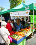 Menlo Park CFM