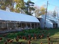 Callister Farm