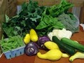 Red Basket Farm