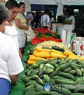 Encino CFM