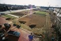 Blue Pike Farm