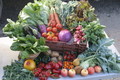 Live Earth Farm