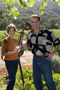 Alphawolf Vineyard & Olive Ranch