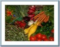 Freewheelin' Farm