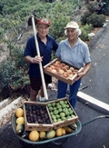 Vital Zuman Sustainable farm