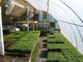 Vermont Offseason Organics
