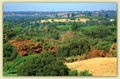Sinclair Family Farm