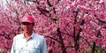 Andy's Orchard
