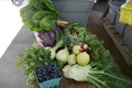Minto Island Growers