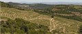 Audelssa Estate Winery