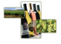 ASV Wines, Inc,