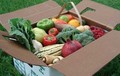 Driftless Organics