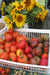 Dunsmuir CFM